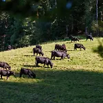 Blumbauernhof Feriegård *