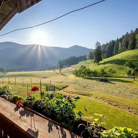Farm stay Blumbauernhof Gutach