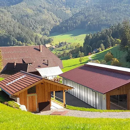 Blumbauernhof Farm stay *