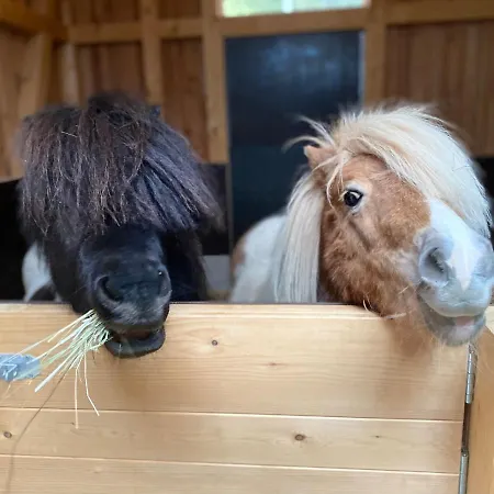 Bauernhof Blumbauernhof Gutach