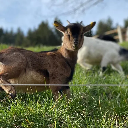 Blumbauernhof * Gutach