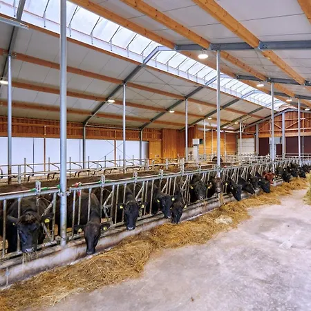 Farm stay Blumbauernhof