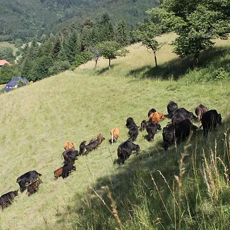 Blumbauernhof Farm stay