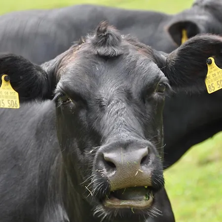 Blumbauernhof * Gutach