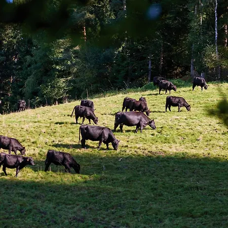 Blumbauernhof Farm stay *