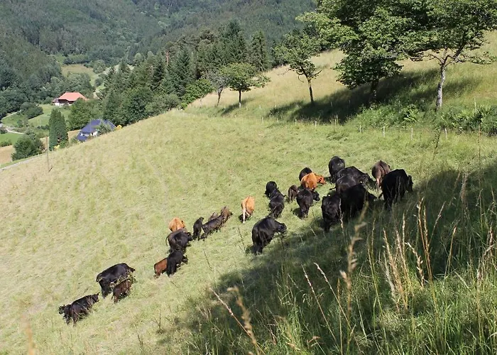 Blumbauernhof Gospodarstwo agroturystyczne